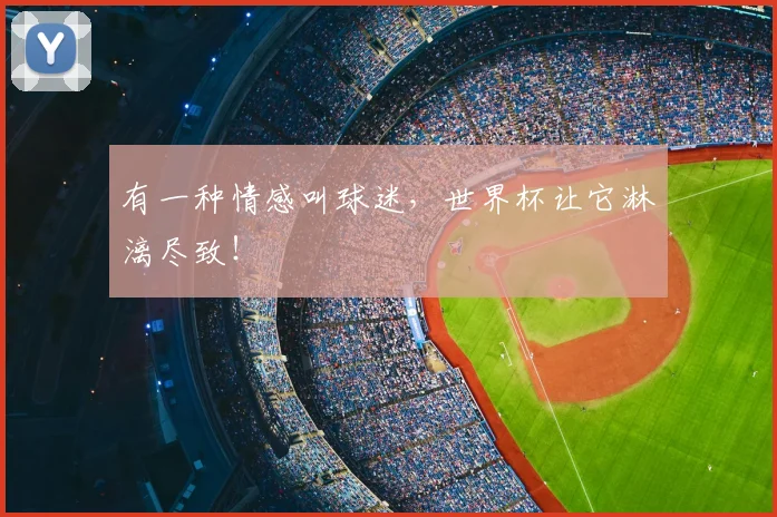 有一种情感叫球迷，世界杯让它淋漓尽致！