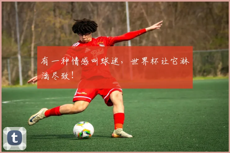 有一种情感叫球迷，世界杯让它淋漓尽致！