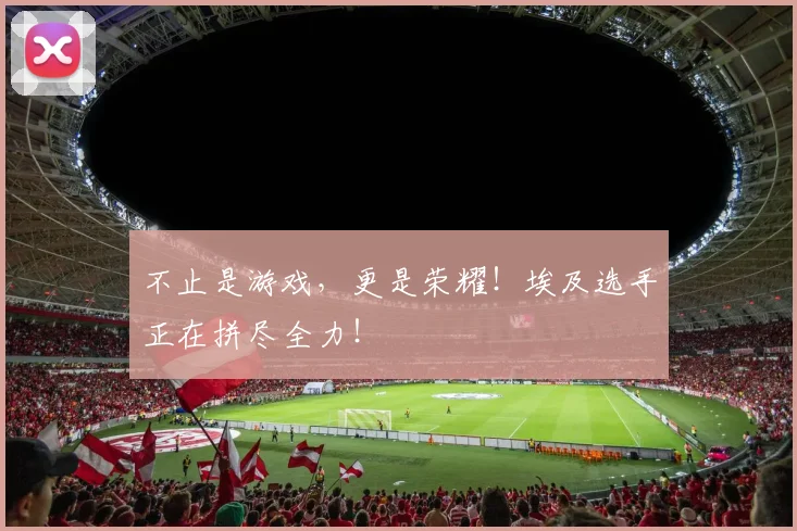 不止是游戏,更是荣耀!埃及选手正在拼尽全力!