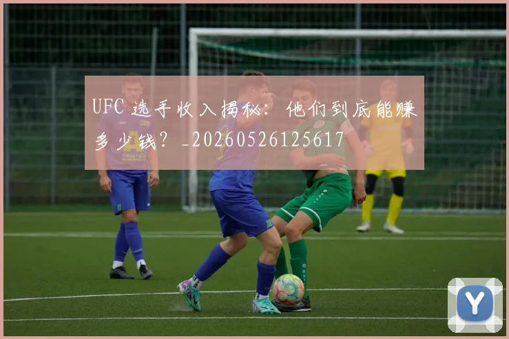 UFC 选手收入揭秘:他们到底能赚多少钱?_20260526125617